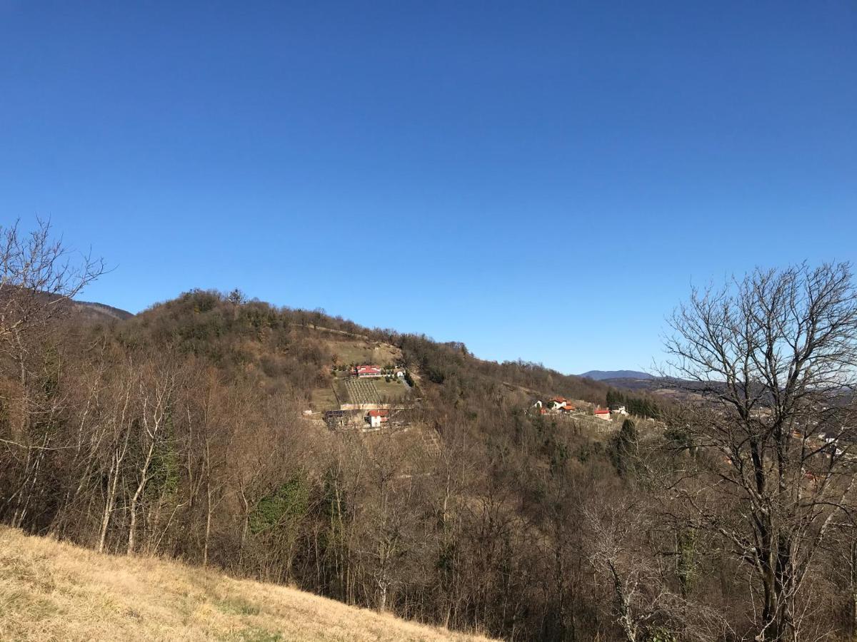 Kuca Za Odmor Magdalena&V Apartment Krapina Luaran gambar